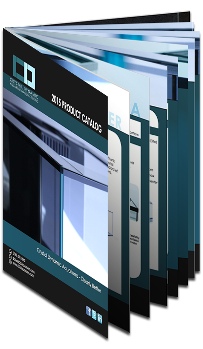 Print Design